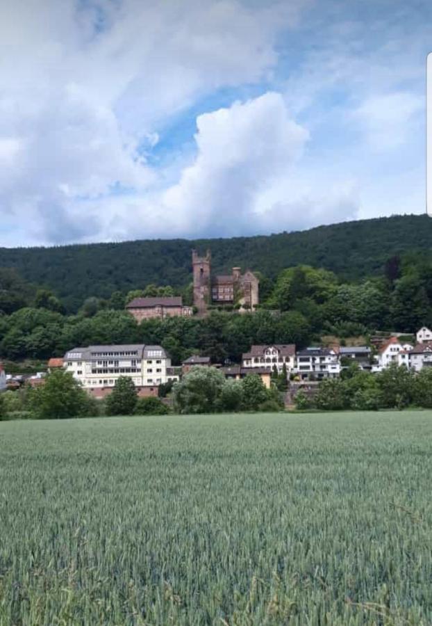 Ferienwohnung Tinas Beauty Neckarsteinach Exterior photo