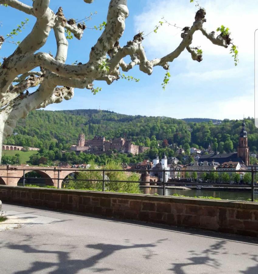 Ferienwohnung Tinas Beauty Neckarsteinach Exterior photo